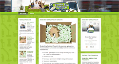 Desktop Screenshot of evdenevenakliyatforum.com
